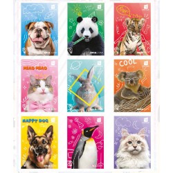 Maxi quad. 50 Special 100gr TU Little Friends 24+1