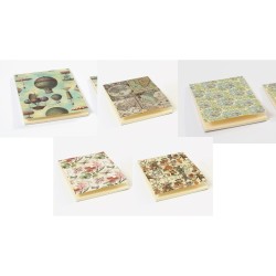 Notes collezioni A5 50ff senza rigatura