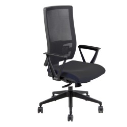 Sedia con braccioli Nereide