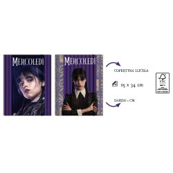 Cartellina Elastico D.1 Mercoledi