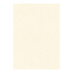 Blister 10 fogli Pergamena A4 INKJET/LASER gr. 160