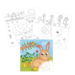 Graffy Point Fattoria Avenue Mandarine | COLORARE 