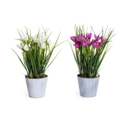 Pianta fiorita in vaso h33 col.ass