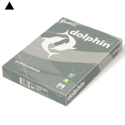 Carta da fotocopie Dolphin A4 80gr 500 fogli