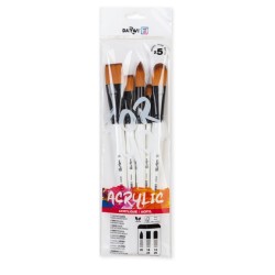 Set 5 Pennelli grossi Darwi