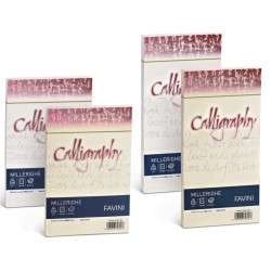 Calligraphy Millerighe 25 buste 12x18 Avorio 02