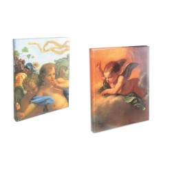 Album Foto 30fg velina e cop Plast. goffrata 23x30