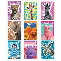 Maxi quad. 50 Special 100gr TU Little Friends 24+1