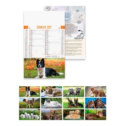 Calendario illustrato Cani Gatti 29x47