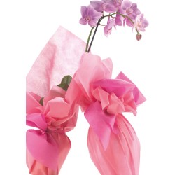 Rotolo TNT ETOFFE Tinta unita 1mt x 20mt - 6988L