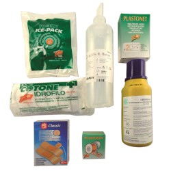 Kit sanitario reintegro fino a 3 persone. All. 1