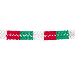 Festone tricolore 5mt 54567
