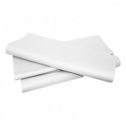 Pacco 5Kg Carta Imballo Bianca 80gr 100x140