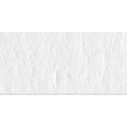 Cartoncini Fabriano colore 50x70 bianco