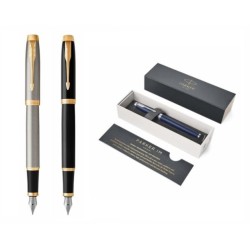 Penna stilografica Parker IM Core GT