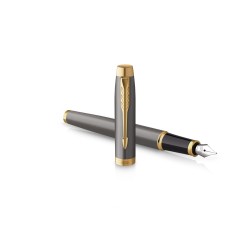 Penna stilografica Parker IM Core Grey GT M
