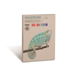 Gessi intensi policromi 24 colori