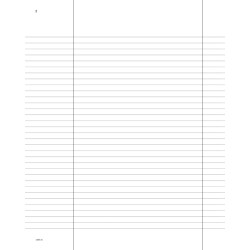 Libro assemblee A4 100 fogli 135500