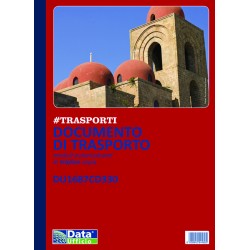 DDT 3 copie 21x30 ricalcanti 1687CD330