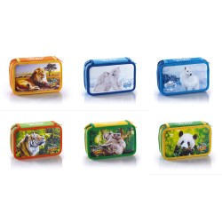 Astuccio 3 zip Nature World