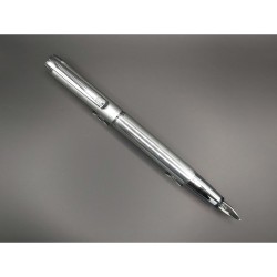 Penna stilografica pura P40 M SILVER
