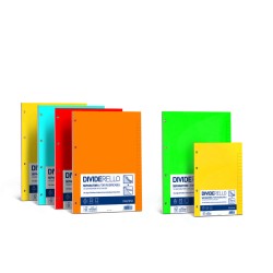 Intercalare Dividerello cartoncino 16x21 10 fogli