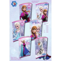 Maxi quaderno 100gr FROZEN