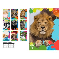 Maxi quaderno 100gr Little Friend 50 Spec 24fg+1