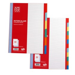 Intercalare cartoncino 6 Tacche Archivia