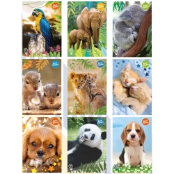 Maxi quaderno 50s 100gr Animali 24+1