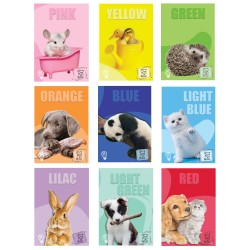Maxi quaderno 50 Special 100gr Animali 24fg+1