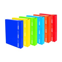 Cartellina Portaprogetti 3 lembi c/elastico D5 ass